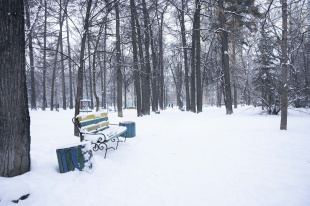 В Екатеринбурге появились три новых особо охраняемых природных территории