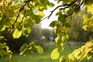 Обещали-сделали: забота о пациентах онкодиспансера и подарок ветеранскому хору