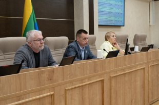 Вопрос о профилактике зависимостей заслушали три комиссии городской Думы