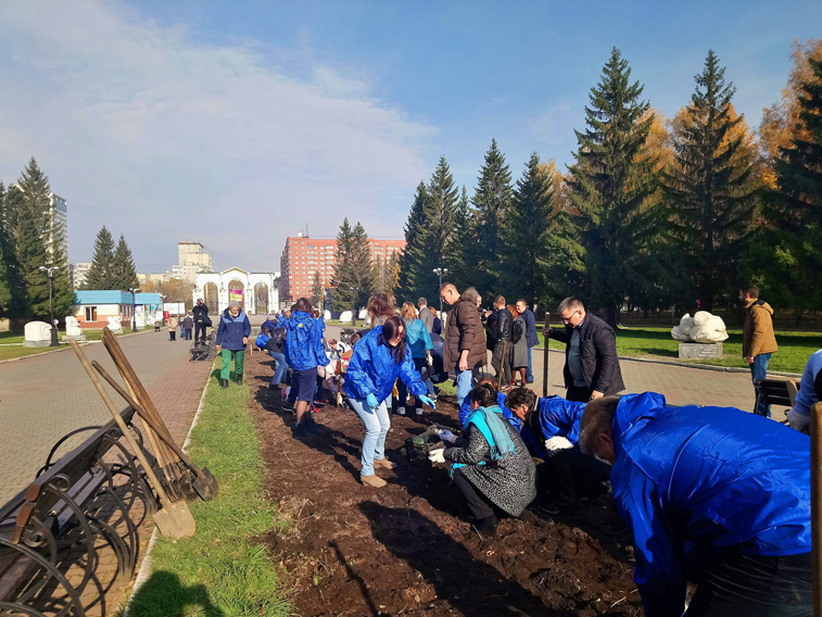 В Центральном парке им. Маяковского высадили 50 тысяч тюльпанов