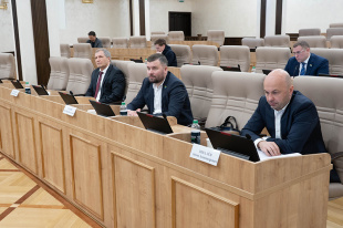 Меры поддержки предпринимателей обсудила комиссия по экономическому развитию