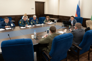 Большая часть лесных пожаров в Екатеринбурге произошла по вине поджигателей