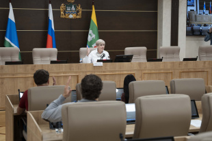 Исполнение – 47,6%: депутаты обсудили бюджет Екатеринбурга за первое полугодие