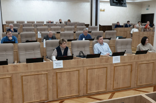 Реализацию национального проекта «Культура» оценили депутаты городской Думы