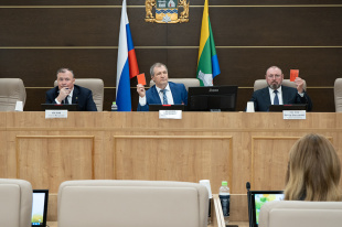 В Екатеринбурге изменился порядок избрания депутатов