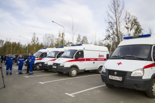 Депутаты поздравили медиков с профессиональным праздником 