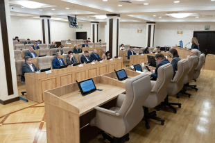 Городская Дума утвердила 11 членов Общественной палаты Екатеринбурга 