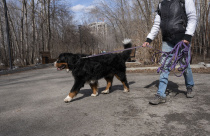 Выгул собак и нехватка площадок. На приеме Анны Гурарий прозвучали вопросы о братьях наших меньших 