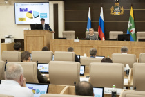 Депутаты рассмотрели итоги экономического развития Екатеринбурга за 2023 год