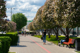 Навстречу жителям: международный форум, открытие стелы и экскурсии для горожан