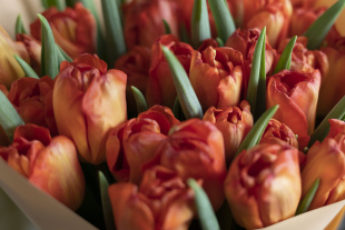 Депутаты приняли участие в поздравлениях с 8 марта