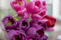 Депутаты поздравляют жительниц с 8 Марта