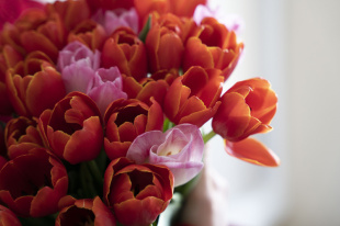 Жительницы Екатеринбурга начали принимать поздравления с 8 Марта