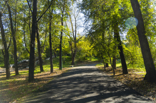 Горожане выбирают парк для благоустройства 