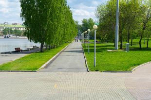 Парламентарии продолжают помогать жителям с благоустройством и озеленением территорий