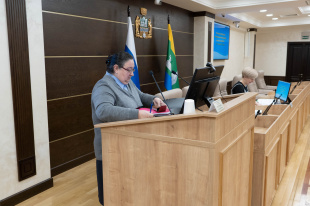 Более 70% доходов и расходов. В городской Думе посчитали исполнение бюджета - 2023 