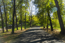 Горожане выбирают парк для благоустройства 