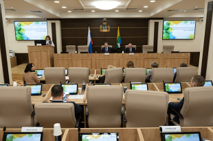 Создание Екатеринбургской агломерации и добровольческую деятельность обсудили депутаты на заседании