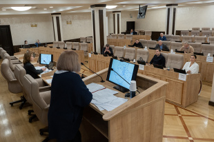Новую схему избирательных округов обсудила комиссия по местному самоуправлению