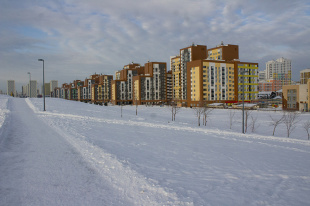 Депутаты оценили благоустройство парка и готовность спортивных объектов в Академическом