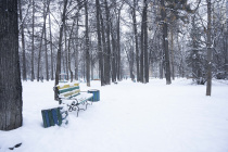 В Екатеринбурге появилось три новых особо охраняемых природных территории