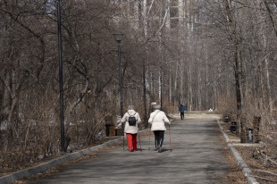 Благоустройство, ЖКХ и спорт. Депутаты провели приемы граждан
