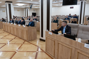 Депутаты городской Думы разделились на комиссии 