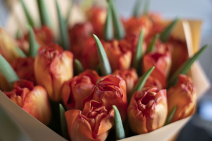 Жительницы Екатеринбурга принимают поздравления с 8 Марта