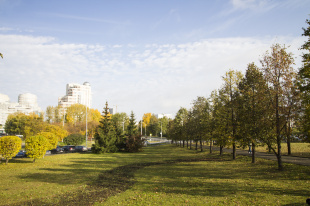 Навстречу жителям: турнир по тхэквондо, волонтерский опыт и «Школа парламентаризма»