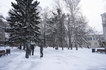 В Екатеринбурге три зеленых зоны могут получить статус особо охраняемых