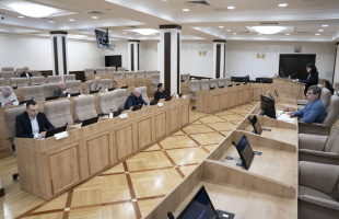 В уральской столице могут ввести должности сельских старост