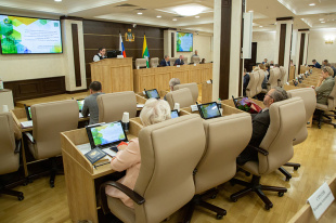 Границы Академического и избирательных округов обсудили на заседании городской Думы