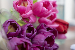 Депутаты поздравляют жительниц города с 8 Марта