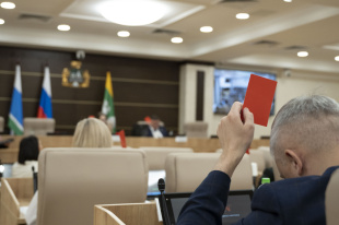 Городская Дума приняла поправки к правилам размещения НТО