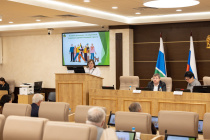 Две комиссии городской Думы обсудили стратегию поддержки старшего поколения