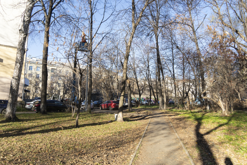 DSC02766.jpg