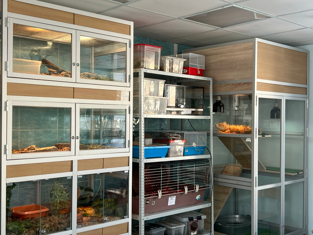 XVGG7C5pAXHpg01p517S2bTPLNQ-A82mbnXgZL5CC-thBFka5bGqDo7IBvkGiqnxK7uB1OVZbG0tpyXCLfGn4pMh.jpg XVGG7C5pAXHpg01p517S2bTPLNQ-A82mbnXgZL5CC-thBFka5bGqDo7IBvkGiqnxK7uB1OVZbG0tpyXCLfGn4pMh.jpg